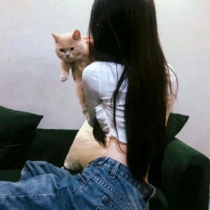 归途如虹
